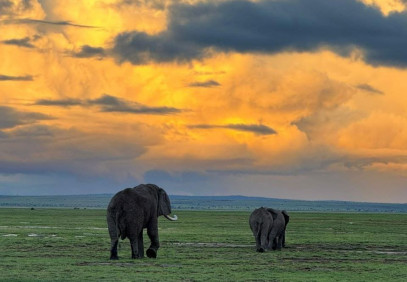 14-Day Serengeti, Mara, Tarangire, Amboseli & Zanzibar