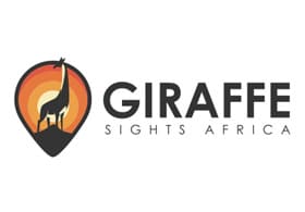 Giraffe Sights Africa