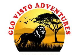 Glo Visto Adventures