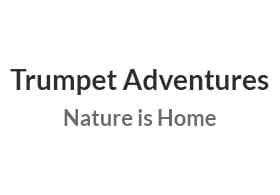 Trumpet Adventures