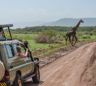 2 Days Tanzania Safari Extension after Kilimanjaro Trek