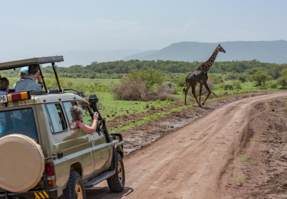 2 Days Tanzania Safari Extension after Kilimanjaro Trek