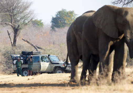 Divundu, Namibia, 13 August 2018 Professional Photographer Tak