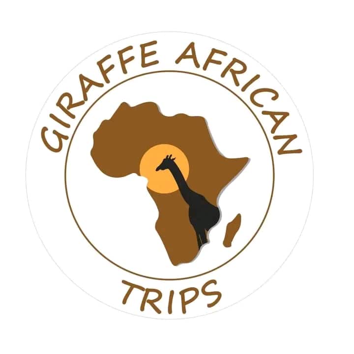Giraffe African Trips