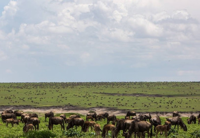 4-Day Elephant Safari Discover Tanzania