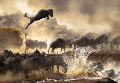 4-Day Serengeti Migration Adventure