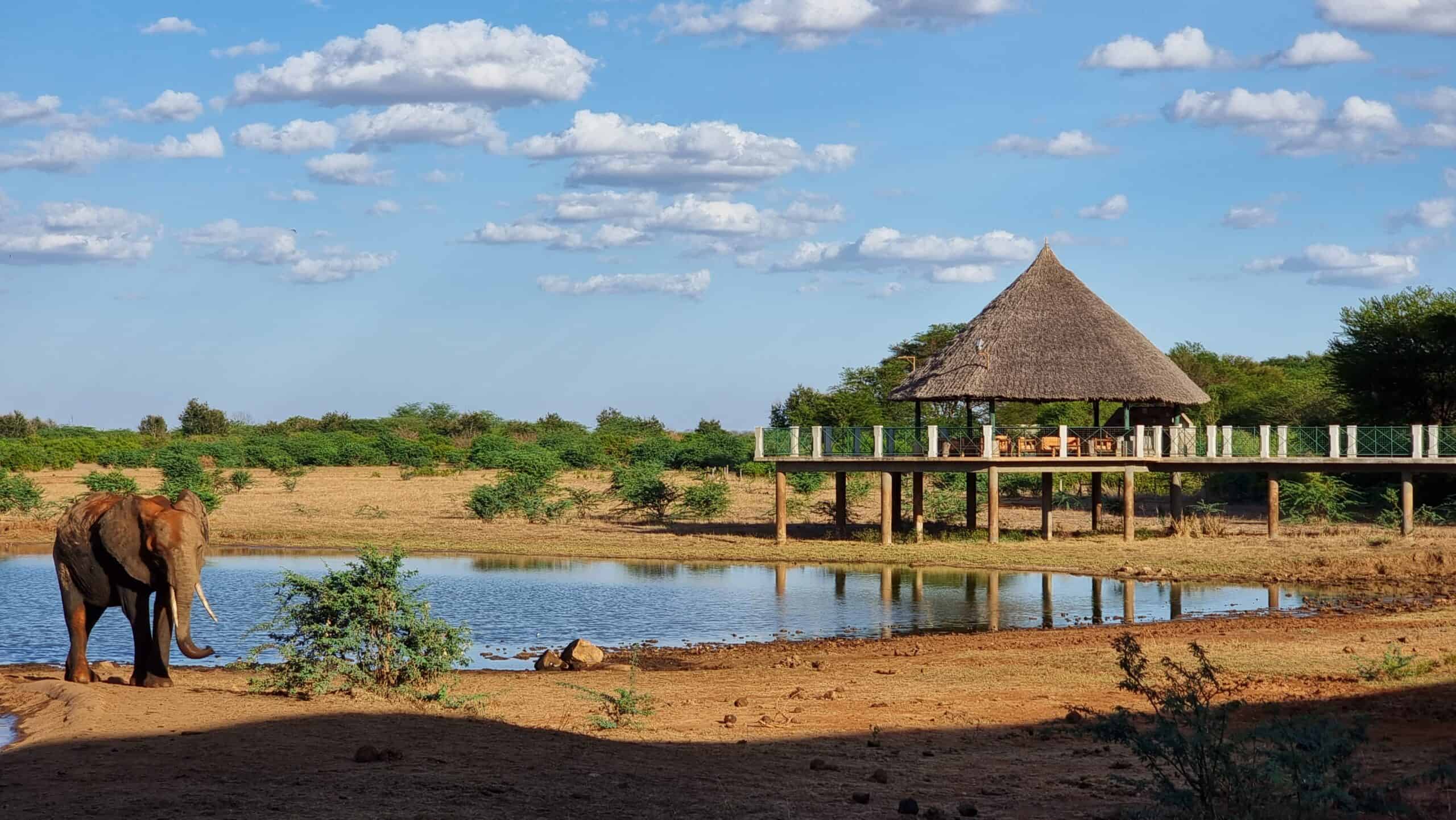 3 Days ‘Short & Sweet’ Kenya Safari