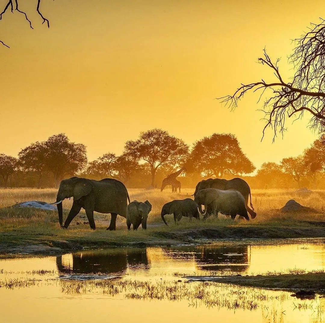 11-Nights Zimbabwe Safari – Budget