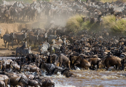 4 Days Fly-in Serengeti Migration & Mara River Crossing