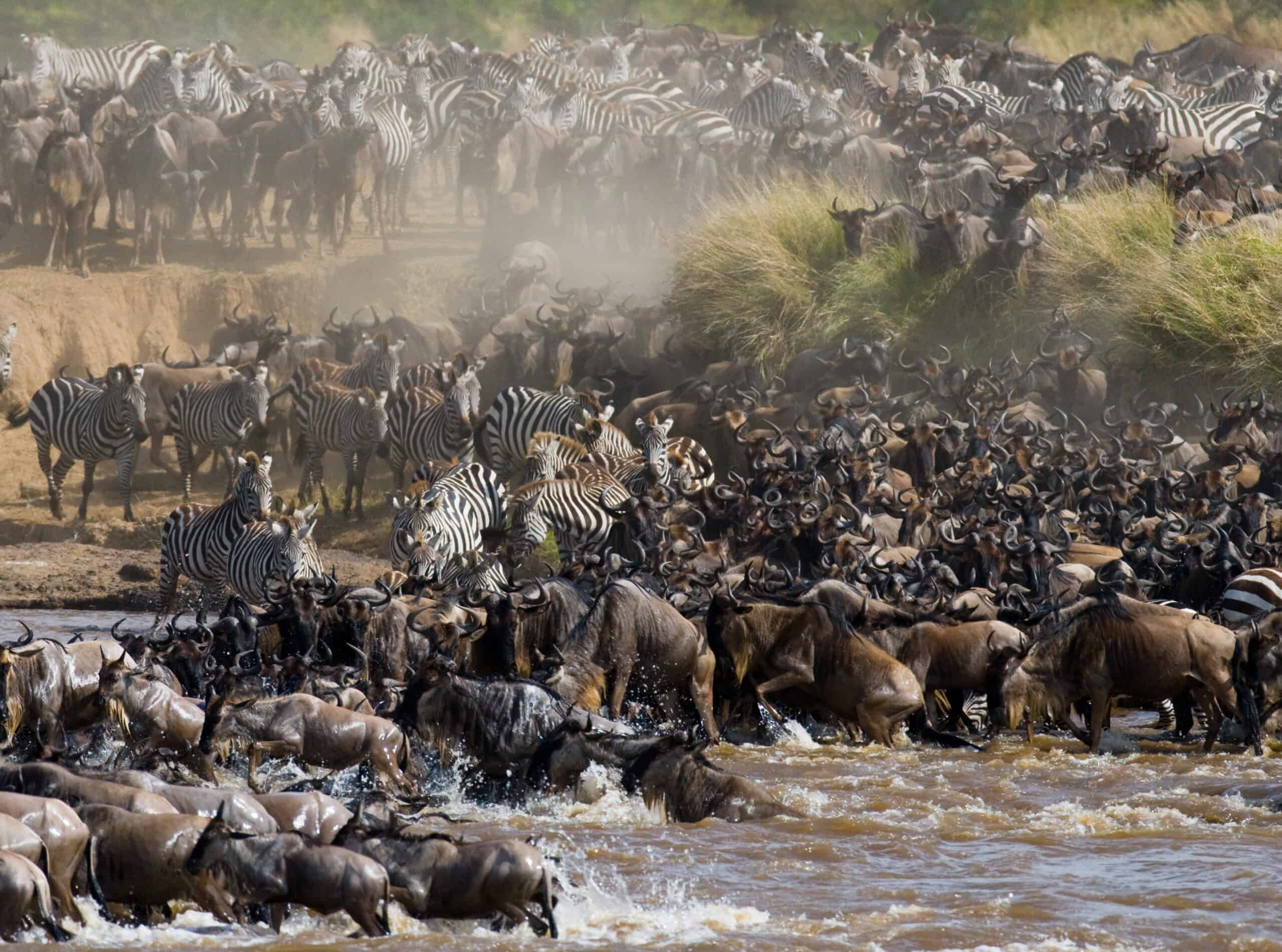 4 Days Fly-in Serengeti Migration & Mara River Crossing