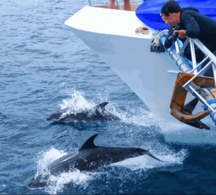 8-Day Safari Cruise through the Galapagos Islands