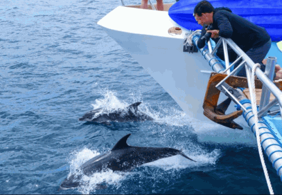 8-Day Safari Cruise through the Galapagos Islands