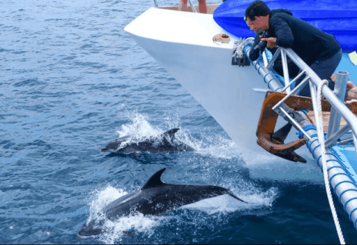 8-Day Safari Cruise through the Galapagos Islands