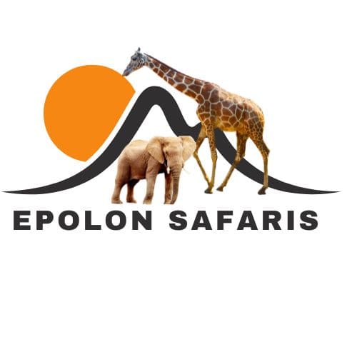 Epolon Safaris