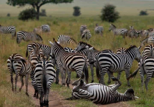 Fb Img 1709358802185