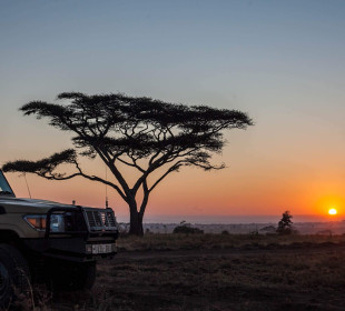 5 Days Tanzania Luxury and Budget Lodge Safari