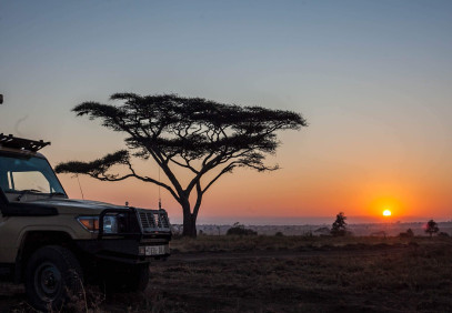 5 Days Tanzania Luxury and Budget Lodge Safari