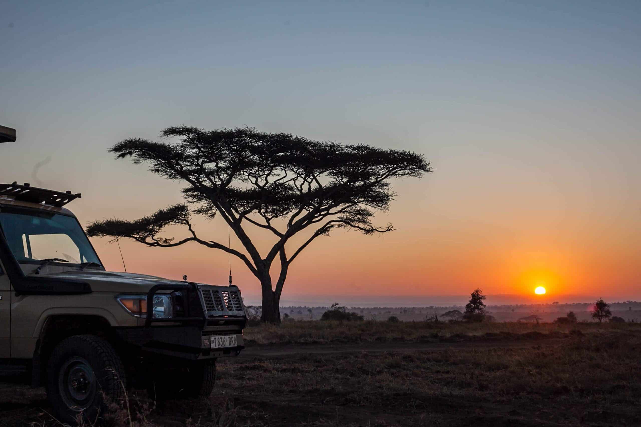 5 Days Tanzania Luxury and Budget Lodge Safari