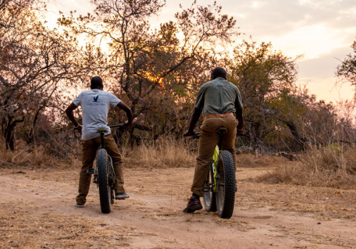 Nothern Kafue Safaris 00004