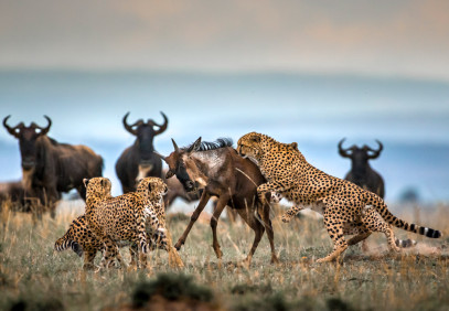 7-Day Northern Parks Lodge Comfort Tour