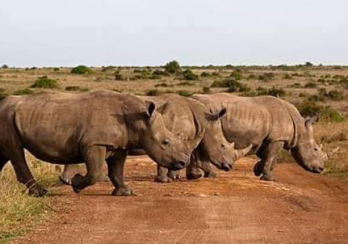 Whatsapp Image 2024 03 15 At 13.08.26