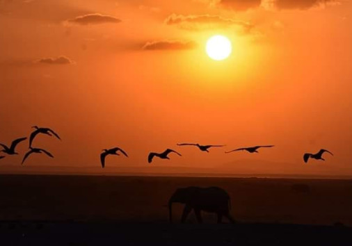 Whatsapp Image 2024 03 15 At 13.08.29(1)