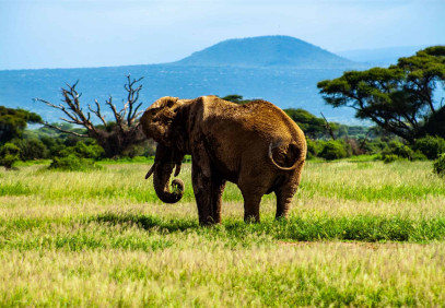 5-Day Kenya Big Five & Landscaped Etched in Time