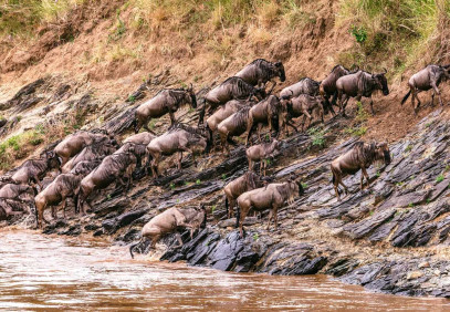 3-Day Kenya Safari: Front Row Seat to Nature