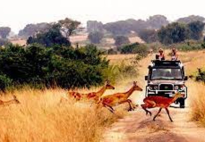 3 Days in Queen Elizabeth National Park