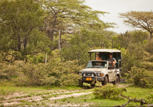 Game Drives Ni Nyerere National Park