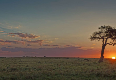 7-Day Your African Dream: Kenya Big Five Safari