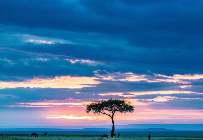 5-Day Bucket List Kenya Safari
