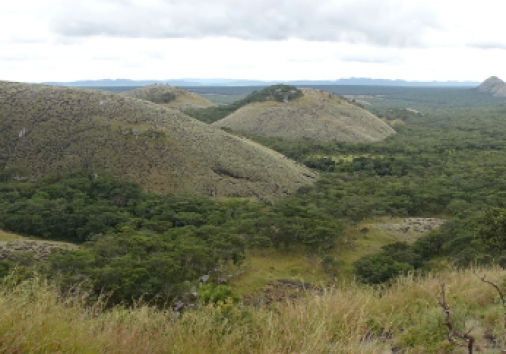 S Mutinondo 1