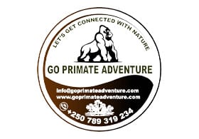 Go Primate Adventure