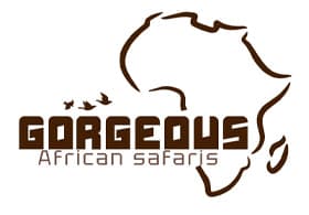 Gorgeous African Safaris