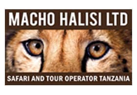 Macho Halisi