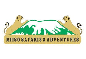 Miiso Safaris