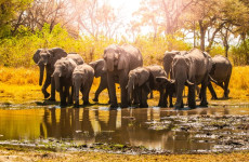 6 Days Amazing Southern Tanzania Fly-in Safari