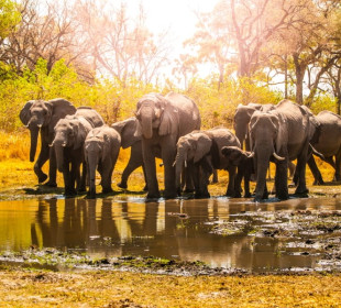 6 Days Amazing Southern Tanzania Fly-in Safari