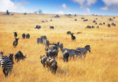 6-Day Off the Beaten Track Tanzania Safari