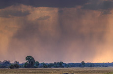 18-Day The Complete Kafue Safari