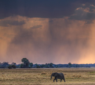 18-Day The Complete Kafue Safari