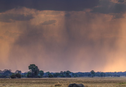 18-Day The Complete Kafue Safari