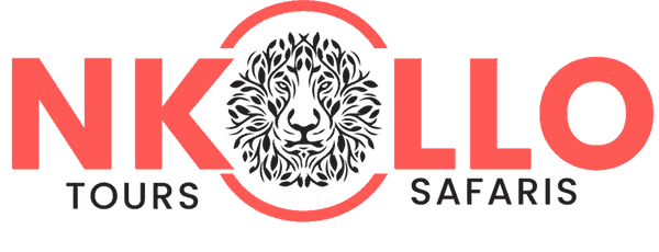 Nkollo Tours