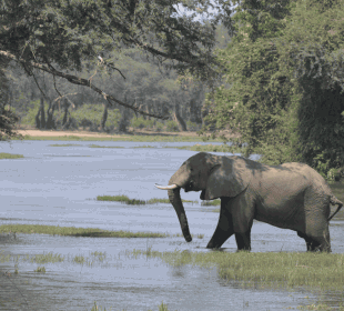 14-Day Great Valleys of Zambia