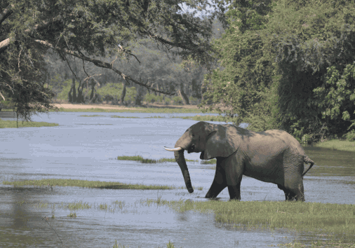 Screenshot 2024 04 17 071616