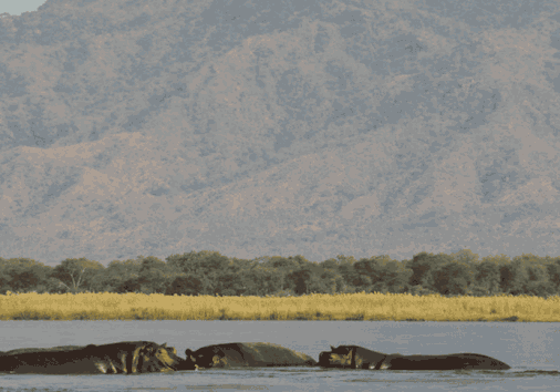 Screenshot 2024 04 17 071646