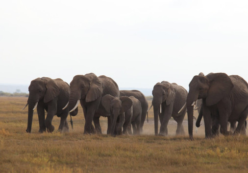 Whatsapp Image 2025 04 01 At 1.23.33 Pm (1)