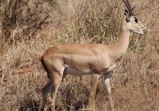 Whatsapp Image 2025 04 01 At 1.23.35 Pm (1)