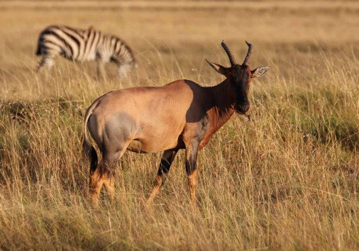 Whatsapp Image 2025 04 01 At 1.23.36 Pm (1)